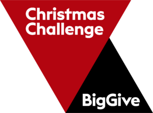 big-give-logo