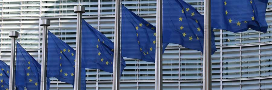 ECJ rules EU-US Privacy Shield invalid